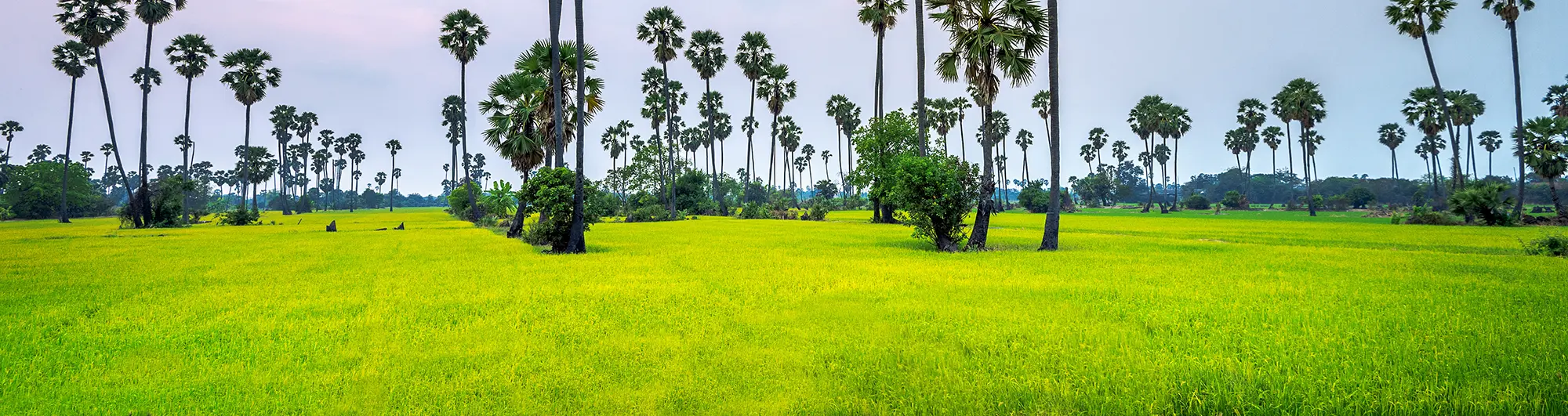 bg_image